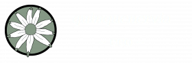 quinquenervia eco logo, white text and flower